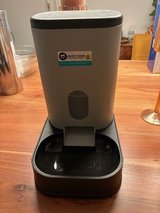 Cat Feeder in Stuttgart, GE