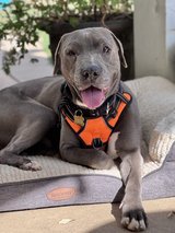 We Have A Unicorn in Vacaville, California