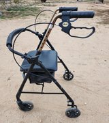 Brown Walker in 29 Palms, California