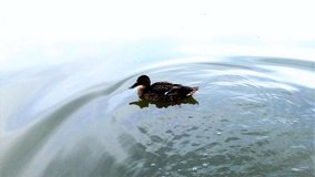 Panzer Böblingen–Tannenberg | 4 rooms Apartment with Private Roof Terrace in Stuttgart, GE