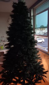 Christmas Tree in Tampa, Florida