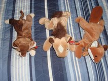 BIGGER TY BEANIE BABBIES in Plainfield, Illinois