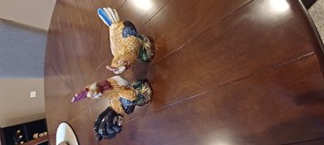 2 roosters in Chicago, Illinois