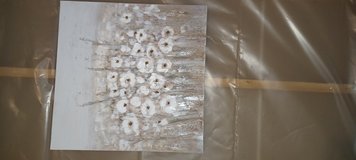 Beautiful picture in Chicago, Illinois