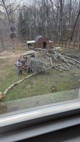 Oak wood for fires or projects in Fort Campbell, Kentucky