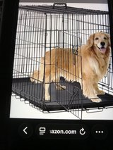 Huge dog crate in Camp Lejeune, North Carolina