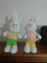 GIRL AND BOY EASTER BUNNIES in Batavia, Illinois