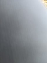 looking for some pheasant Birds in Fort Polk, Louisiana