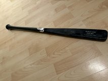 Flat bat for bat path training in Stuttgart, GE