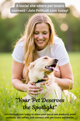 Pet Services and more in Phoenix, Arizona