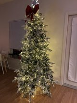 7.5” Christmas Tree in Eglin AFB, Florida