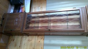 Curio Cabinet in Alamogordo, New Mexico