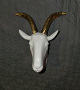 Antelope Head Wall Decor in Kingwood, Texas