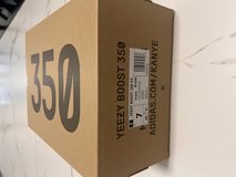 YEEZY BOOST 350 V2 in Ramstein, Germany