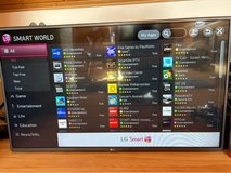 Dual voltage 42 Inch LG flatscreen in Stuttgart, GE
