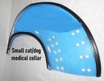 Dog/Cat Collar in Alamogordo, New Mexico