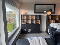 IKEA Kallax 4x4 black brown in Stuttgart, GE