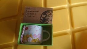 Starbucks aprons, plushie, Bento Box, and mug set in Okinawa, Japan