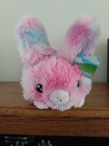 EASTER SQUISHABLE BUNNY in Chicago, Illinois