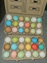 Easter confetti eggs - 1 1/2 dozen in The Woodlands, Texas