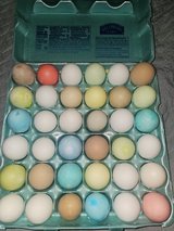 Easter confetti eggs - 3 dozens in The Woodlands, Texas