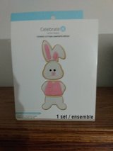 EASTER BUNNY COOKIE CUTTER in Aurora, Illinois