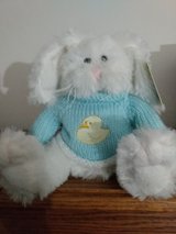 EASTER BUNNY PLUSH in Aurora, Illinois