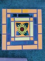 12X12 in Alamogordo, New Mexico