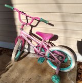 Girls Bike in Oswego, Illinois