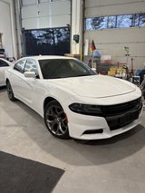 Dodge Charger 3.6l in Grafenwoehr, GE