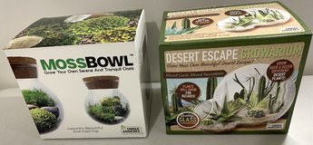 New! Moss Bowl Lit Terrarium -OR- Desert Cactus Succulent Starter Kit *$15 PER Kit* in Westmont, Illinois