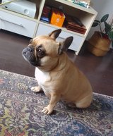 broken down cars WANTED in Ramstein, Germany