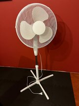 220V Oscillating Fan in Spangdahlem, Germany