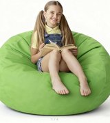 Bean Bag Chair in Morris, Illinois