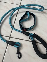 Dog leash set brand new size medium. Pick up only in Ramstein, Germany