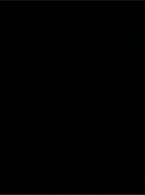 guineas eggs in Fort Polk, Louisiana