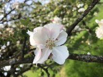 hiking-tour with german friends in Ramstein, Germany