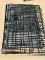 Large dog kennel in Alamogordo, New Mexico