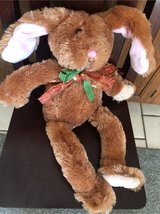 bunny in Glendale Heights, Illinois