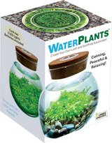 New! Unique Gardener Water Plants Aquascape LED lit Terrarium Starter Kit in Westmont, Illinois