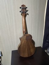 Ukelele( Concert Type) in Okinawa, Japan