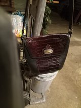 Brigbion in Kingwood, Texas