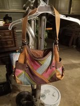 Fossil in Kingwood, Texas