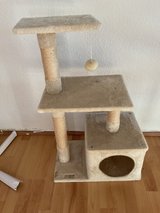 Cat tree in Baumholder, GE