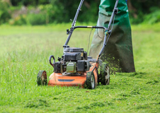 YARD & GARDEN CARE in Baumholder, GE