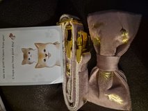 Cat collar and bow tie in Joliet, Illinois