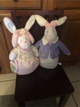 bunny duo in Bolingbrook, Illinois