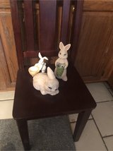bunnies in Bolingbrook, Illinois