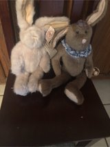 bunny duo in Chicago, Illinois