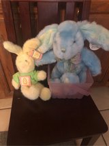 bunny trio in Chicago, Illinois